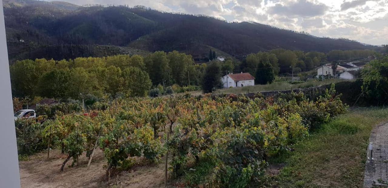 Villa Alzira Seia Εξωτερικό φωτογραφία