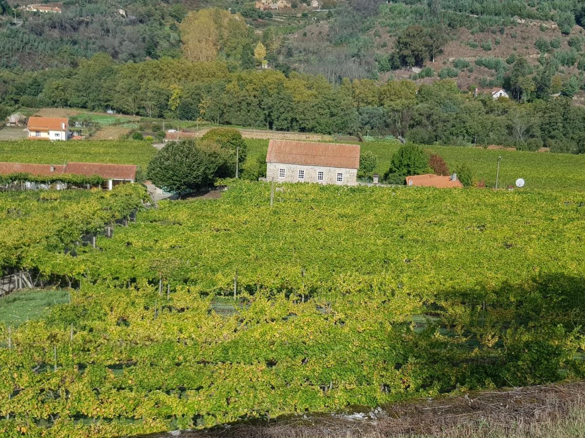 Villa Alzira Seia Εξωτερικό φωτογραφία